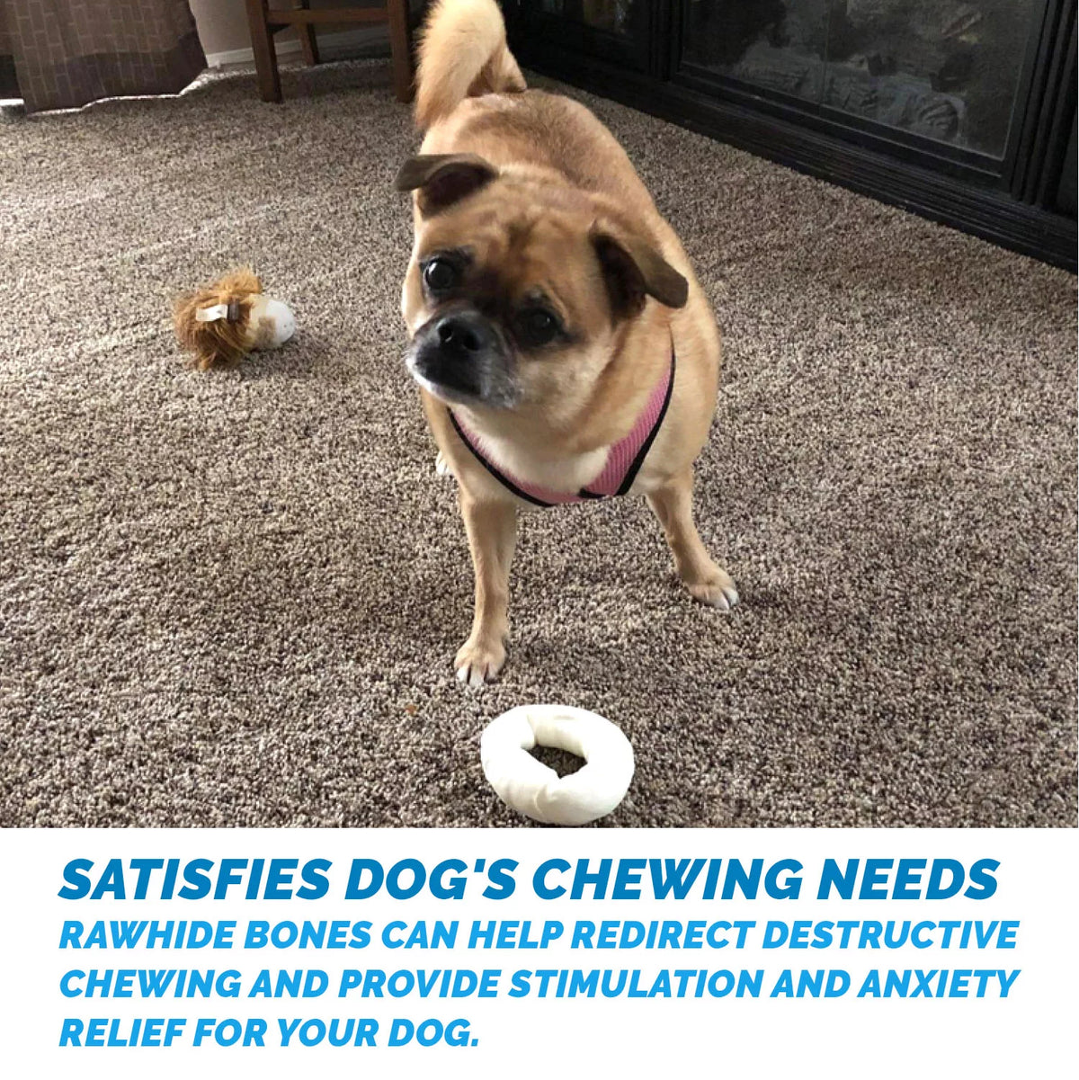 Beef Hide Donut Chews for Dogs 10 Count L479