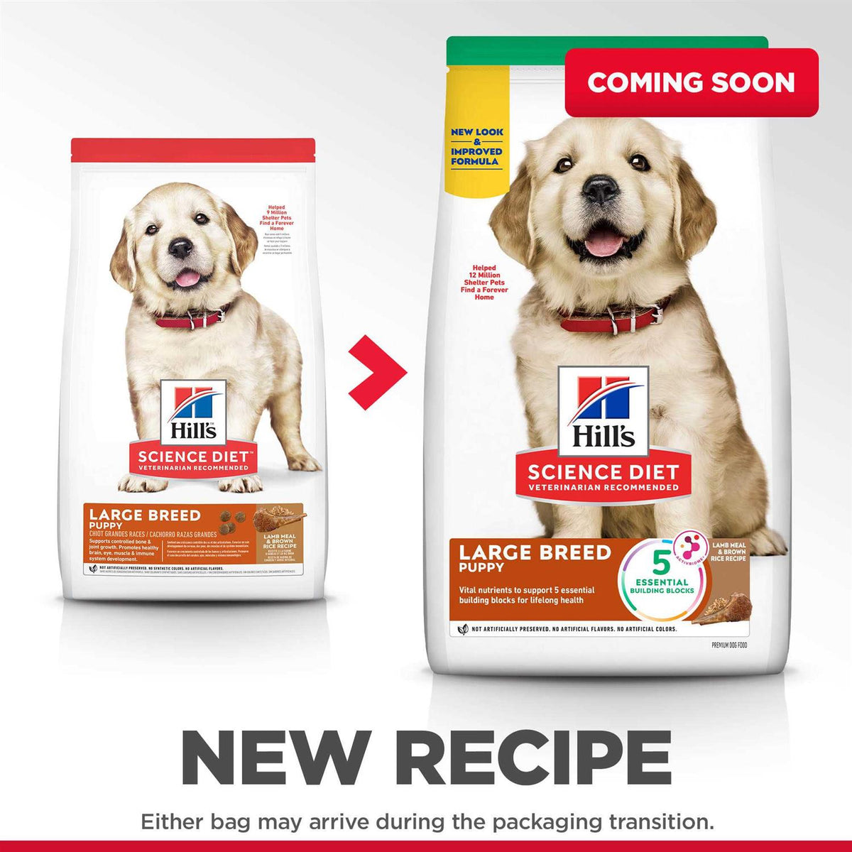 Chicken Recipe Dry Dog Food K1702