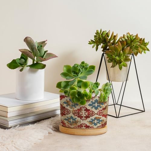 Blue And White Porcelain Ceramic Round Plant Pot with Drainage Holes And Bamboo Tray V814