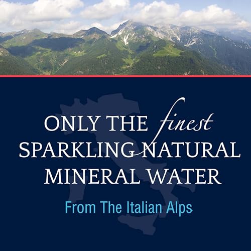 Sparkling Natural Mineral Water, 16.9 Fl Oz (Pack of 12) D622686