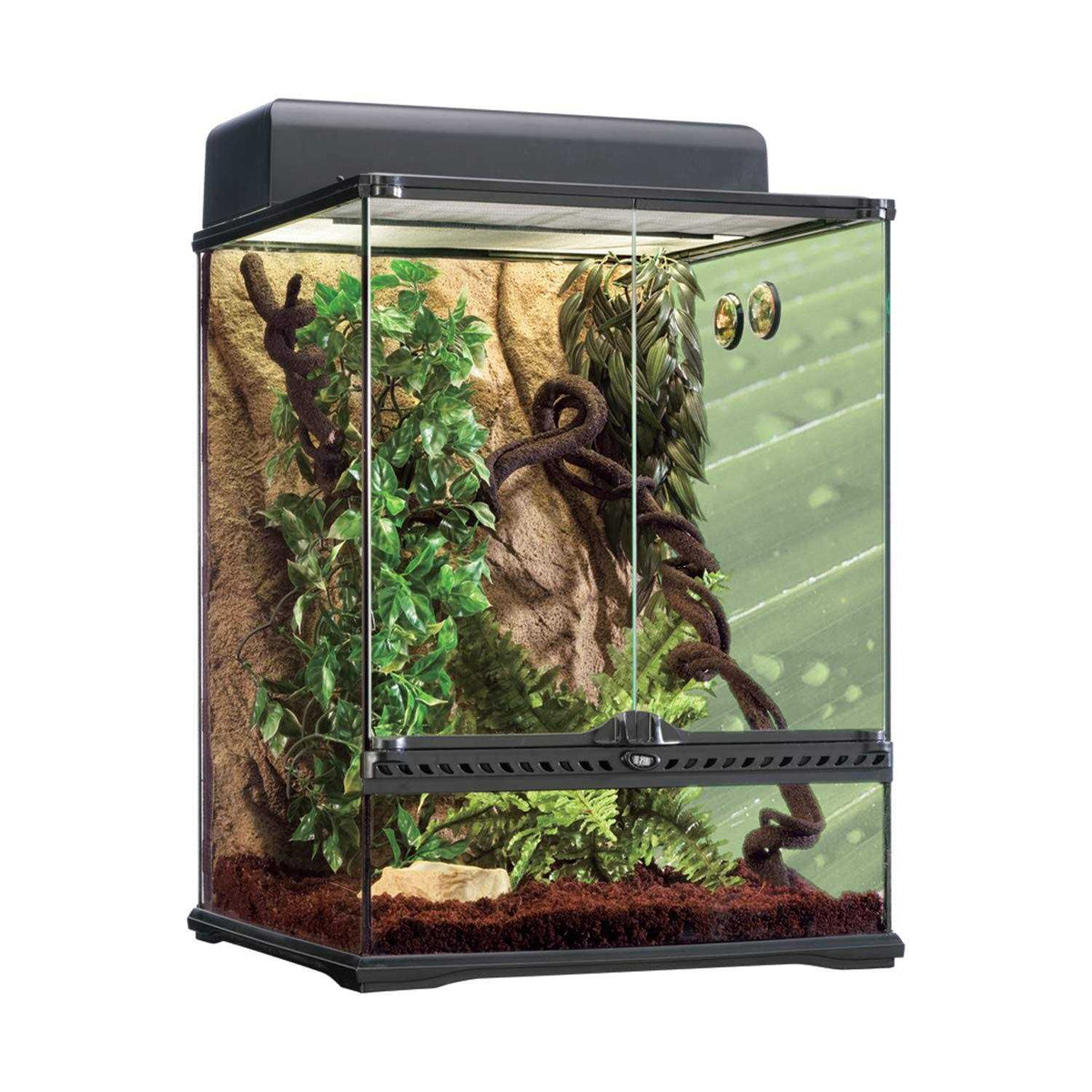 Rainforest Habitat Kit Q820719