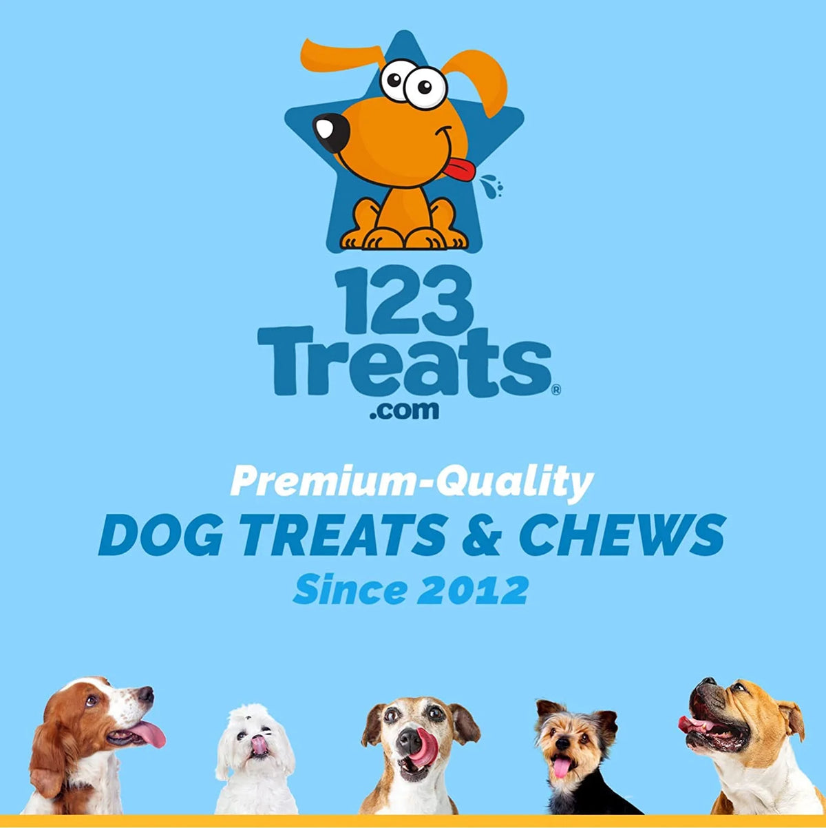 Beef Hide Donut Chews for Dogs 10 Count L479
