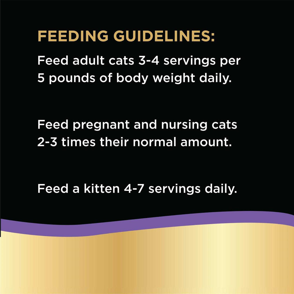 Wet Cat Food E230680