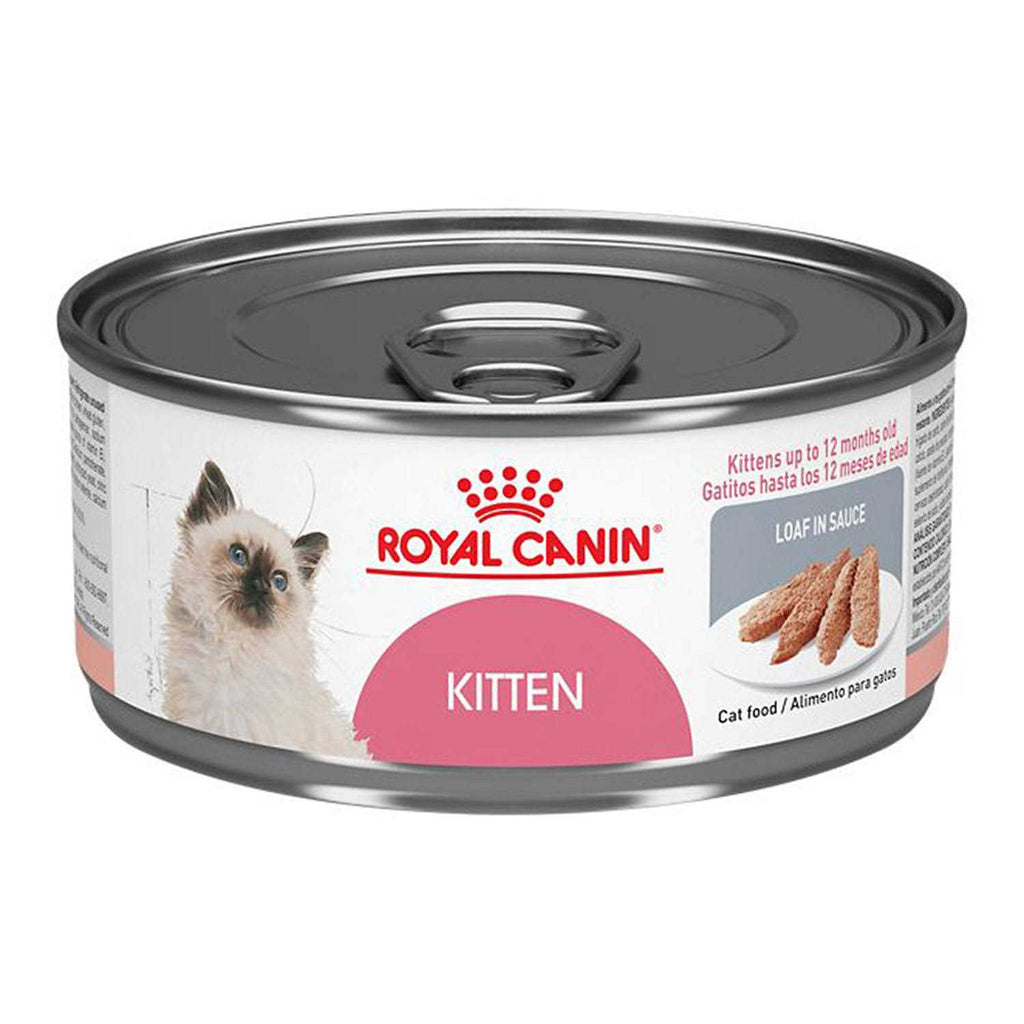 Kitten Loaf in Sauce Cat Food V42243