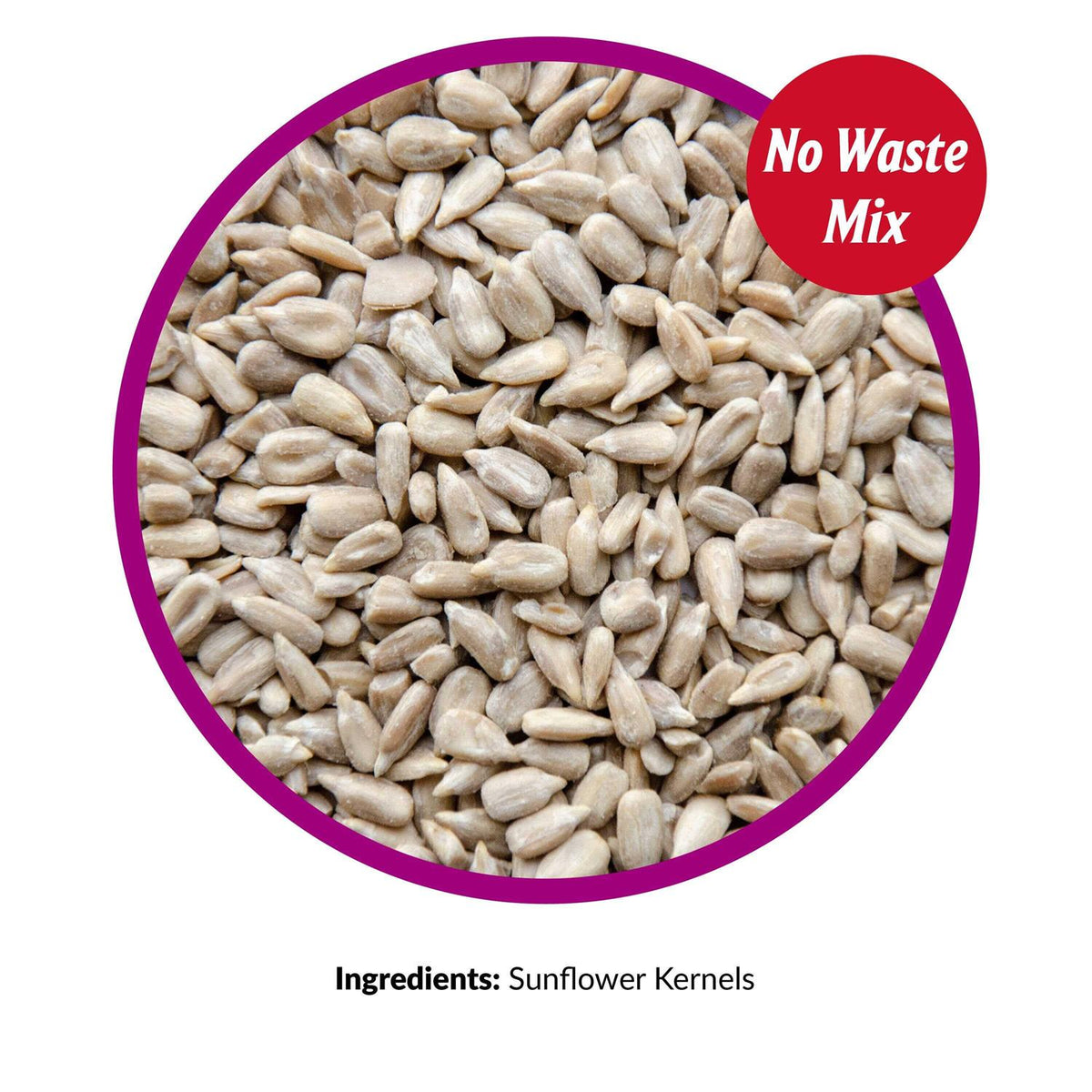 Sunflower Kernels B56620