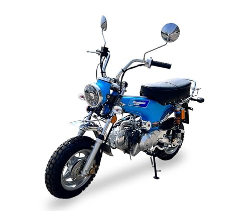Blue 125cc 4 Speed Motorcycle Z717