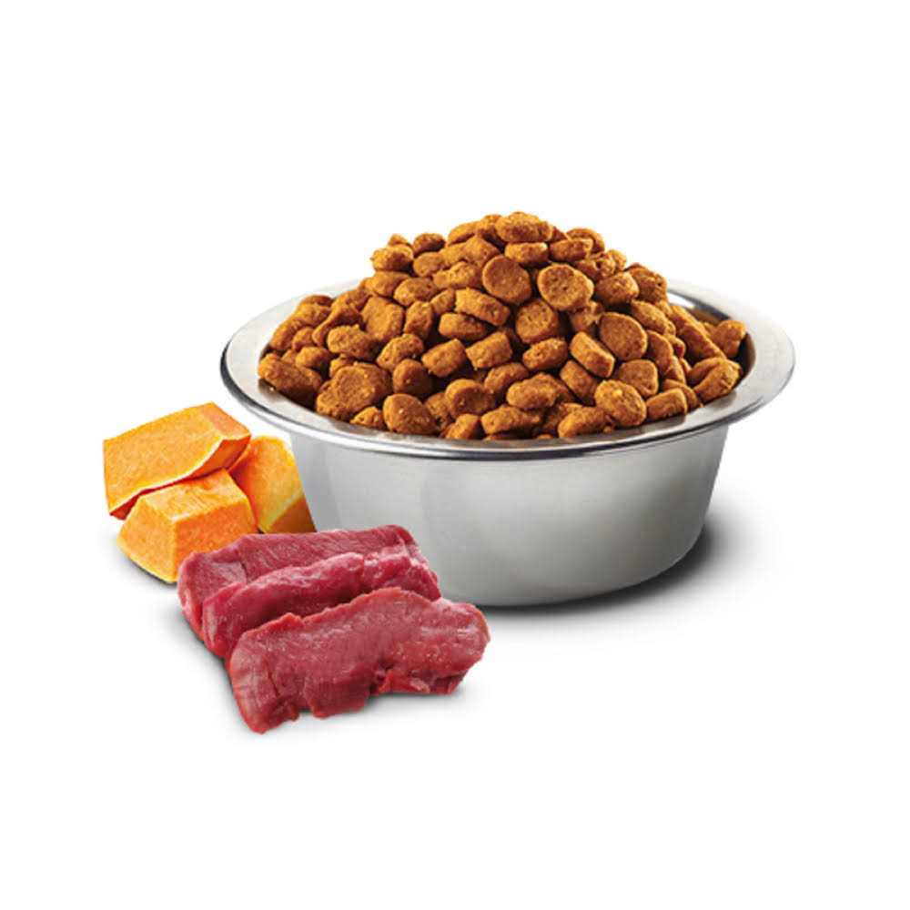 Pumpkin Venison Apple Dry Cat Food G9978