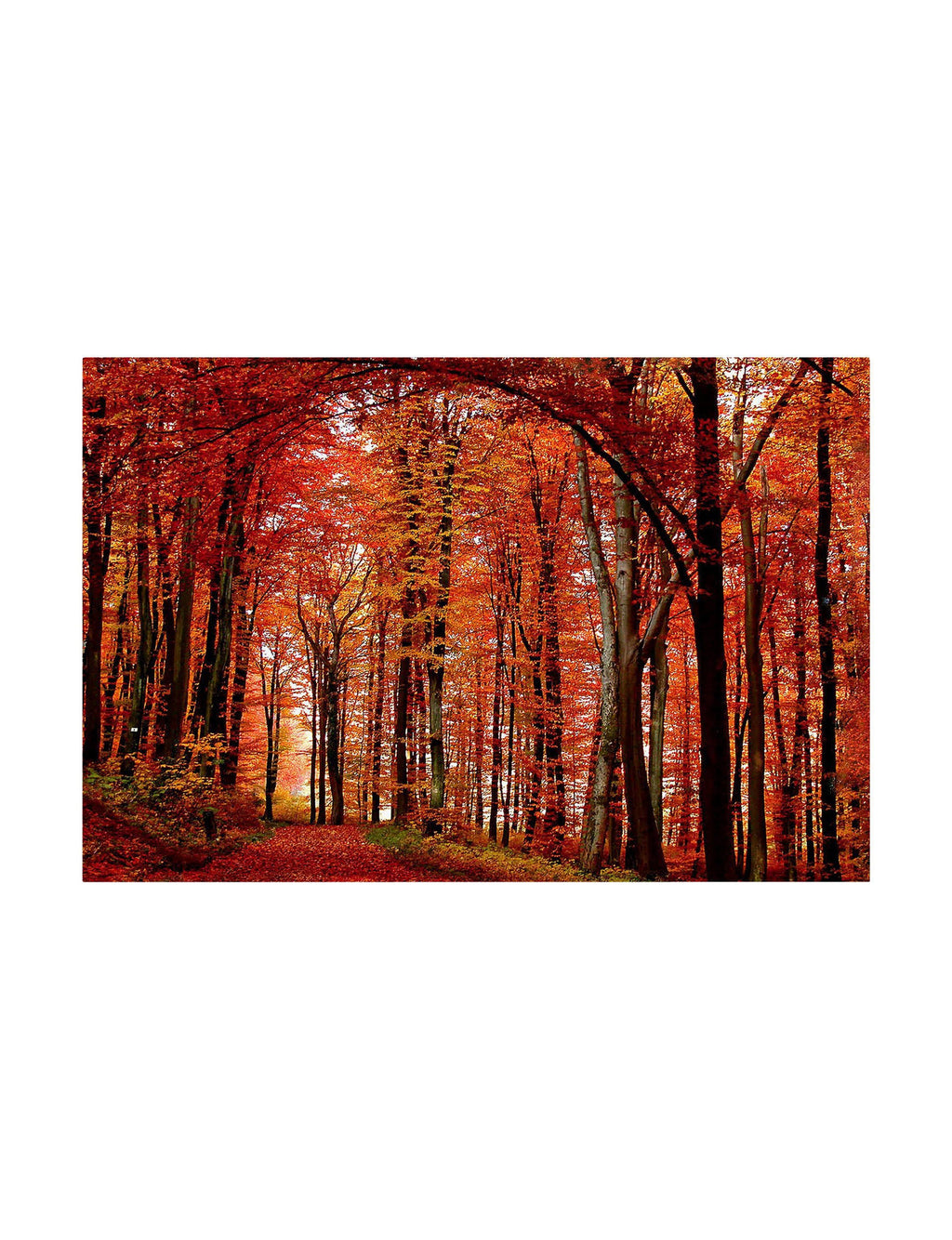 Canvas Art U95316