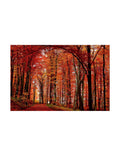 Canvas Art U95316