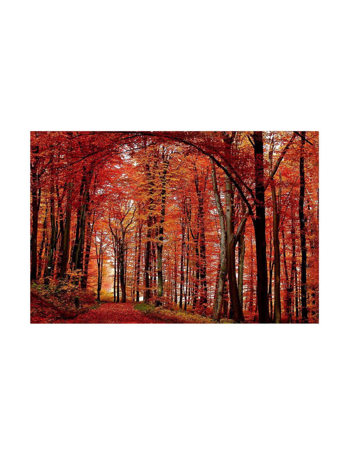 Canvas Art U95316