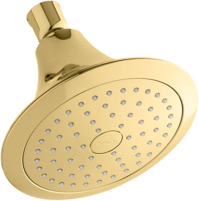 2.5 GPM Single-Function Wall-Mount Showerhead Polished Chrome Pack of 2 Y295