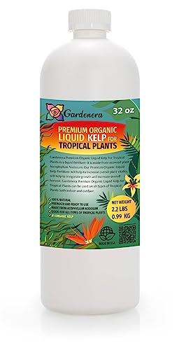 8 oz Organic Liquid Kelp Fertilizer R9722