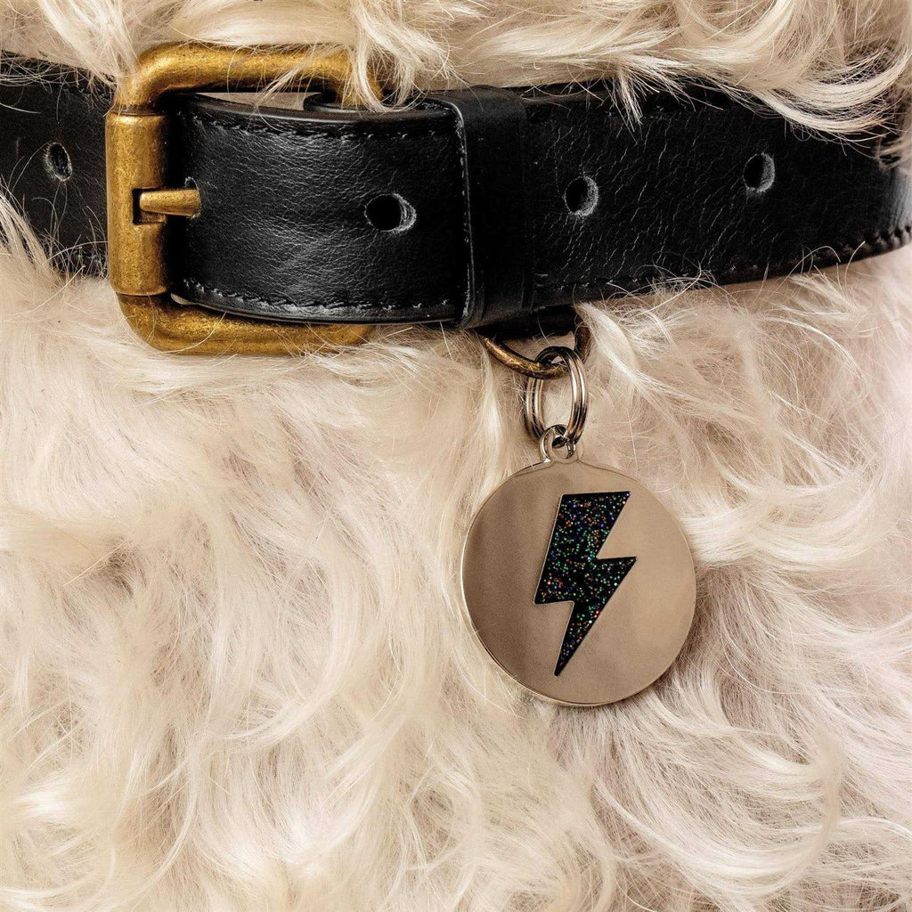 Lightning Bolt Pet ID Tag G4293