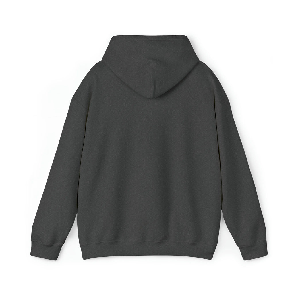 Snorkel Graphic Hoodie Sweatshirt D92445