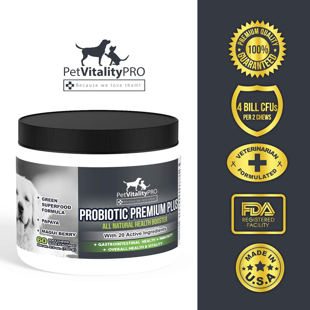 Probiotics for Dogs with Natural Digestive Enzymes, 4 Bill CFUs/2 Soft Chews, 60 Count S52380