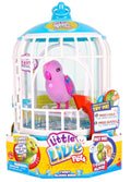 Bird Cage L512766
