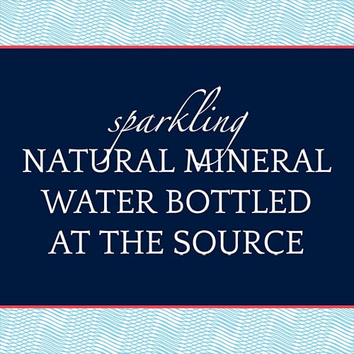 Sparkling Natural Mineral Water, 16.9 Fl Oz (Pack of 12) D622686