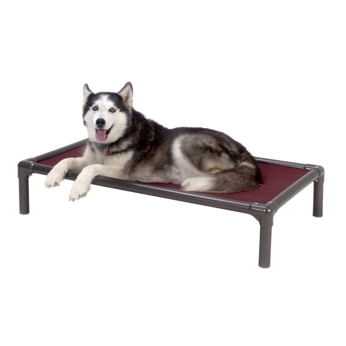 Walnut PVC Chewproof Dog Bed J828878