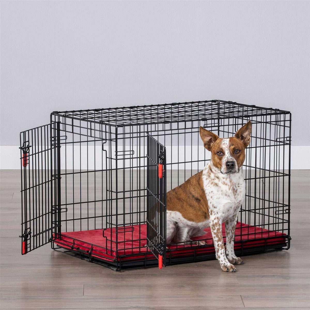 KONG Double Door Wire Dog Crate with Divider Panel W6351