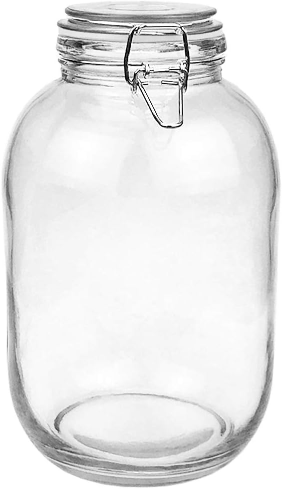 1 Gallon Glass Jar with Airtight Lid A450415