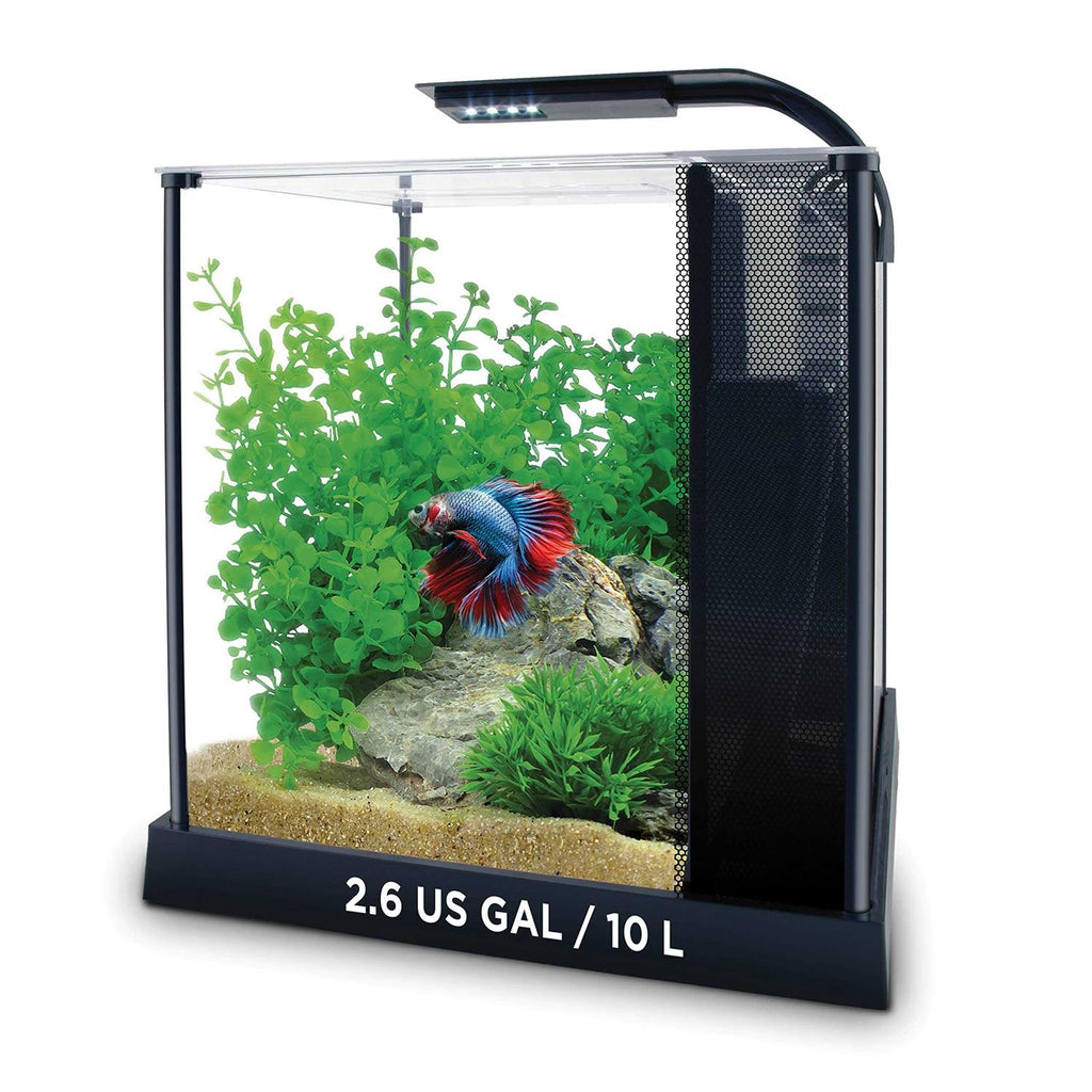 Betta Kit K555