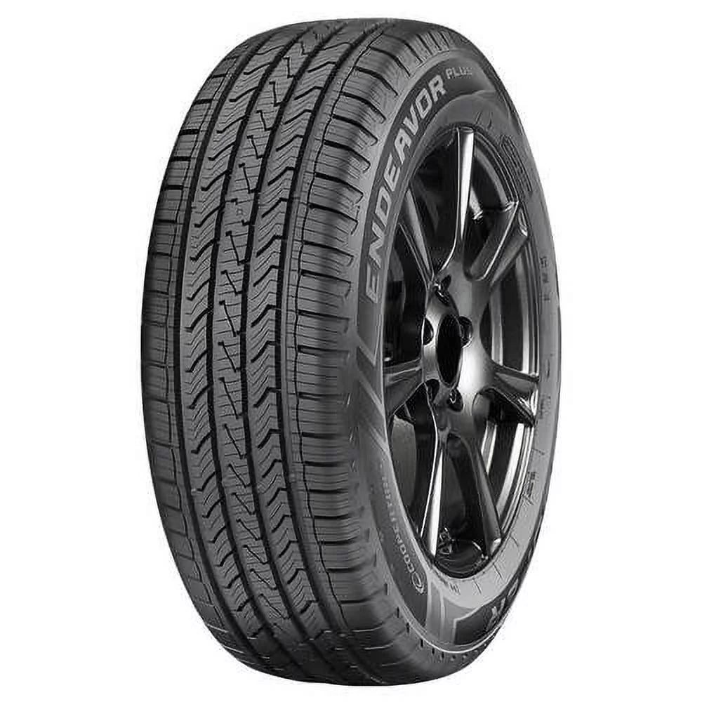 All Season 215/70R16 100H Passenger Tire C9861