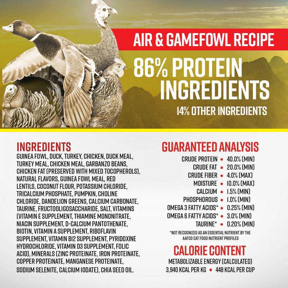 Cat Dry Food I9364