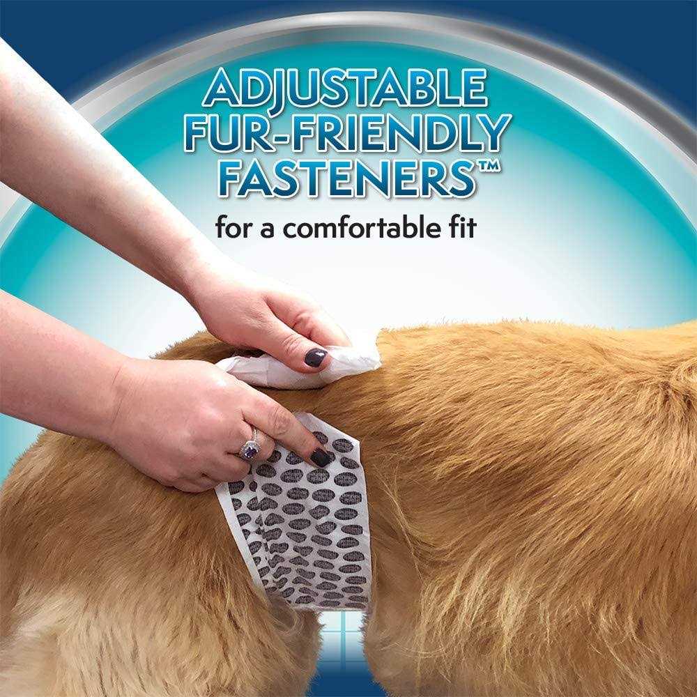 Disposable Male Wraps D920
