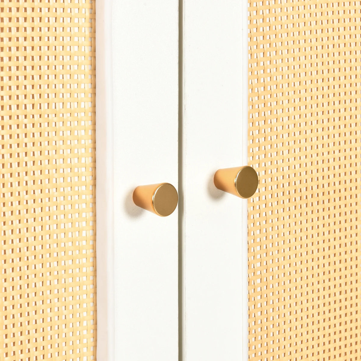 Natural Rattan Armoire Wardrobe Closet Cabinet with 2 Doors R823833