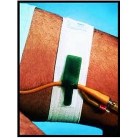 Foley Catheter Holder, Leg Band, 10/Pack M2466