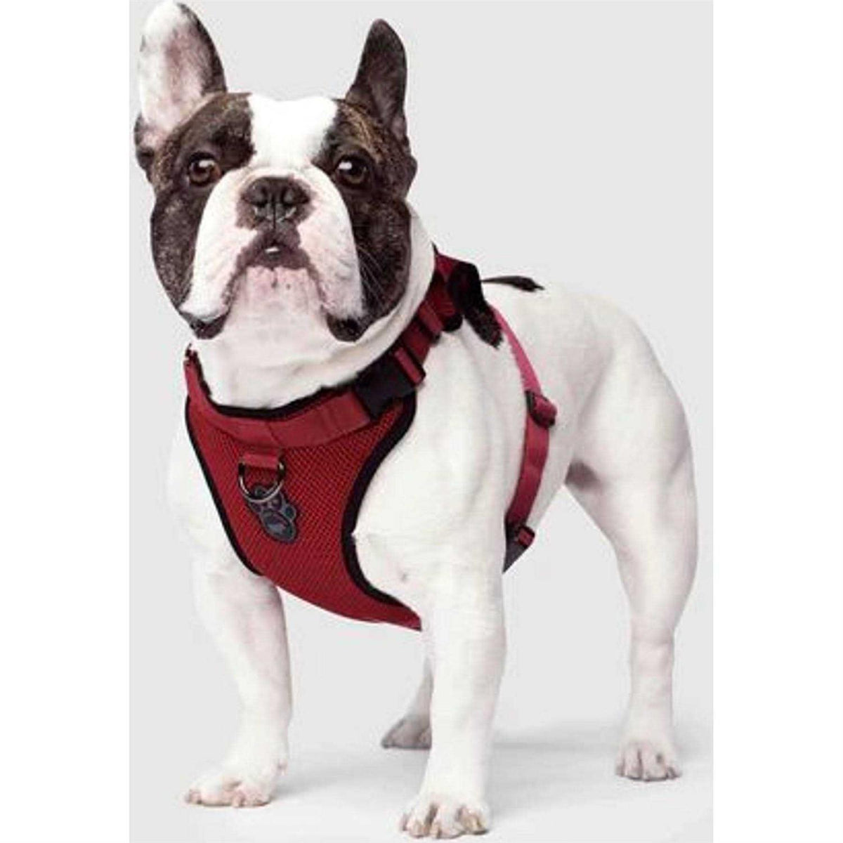 Dog Harness W41046