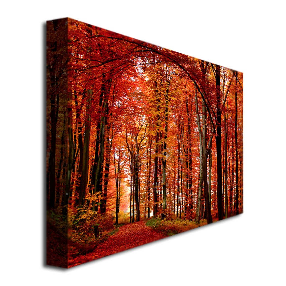 Canvas Art U95316