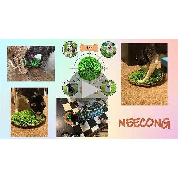 Pet Snuffle Mat R91203