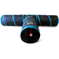 Cat Tunnel B109248