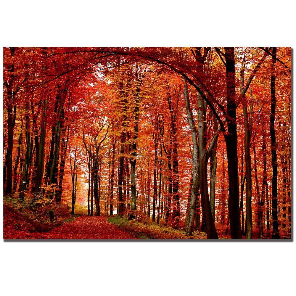 Canvas Art U95316