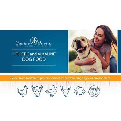 Limited Ingredient Dry Dog Food J6428