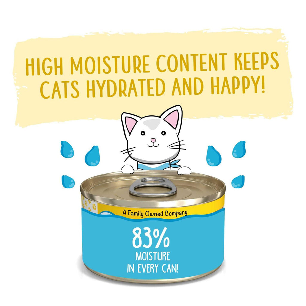 Cat Pate W729834