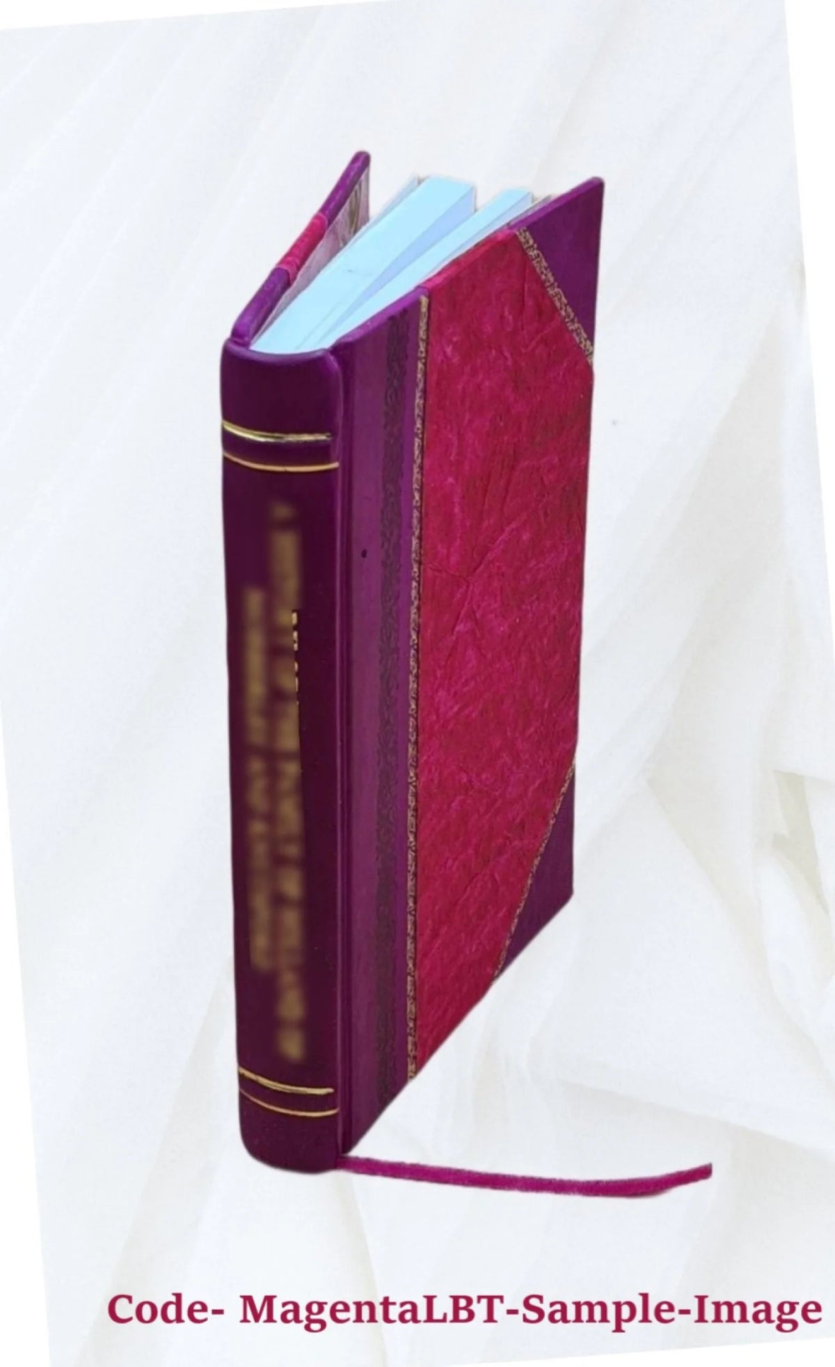 1917 Leather Bound Volume V414541