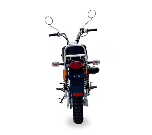 Blue 125cc 4 Speed Motorcycle Z717