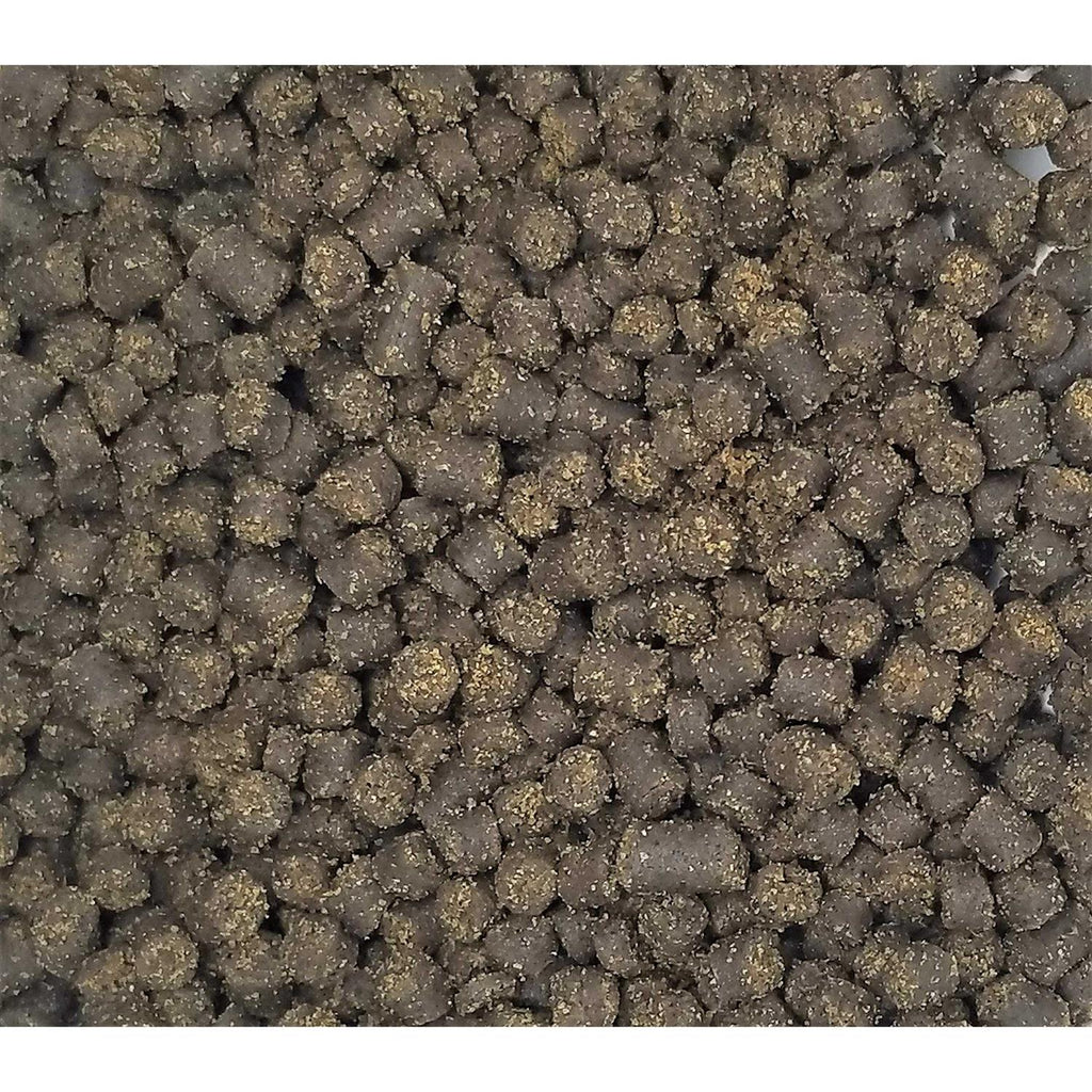 Soft Pellets for Axolotls Moist Sinking Diet L66269