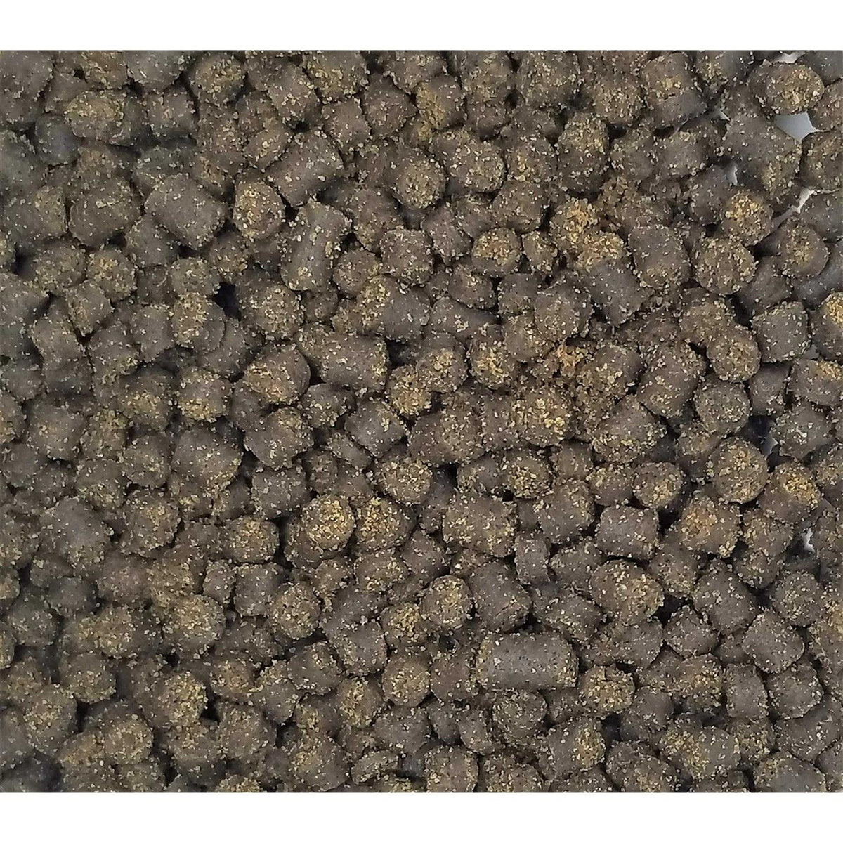 Soft Pellets for Axolotls Moist Sinking Diet L66269