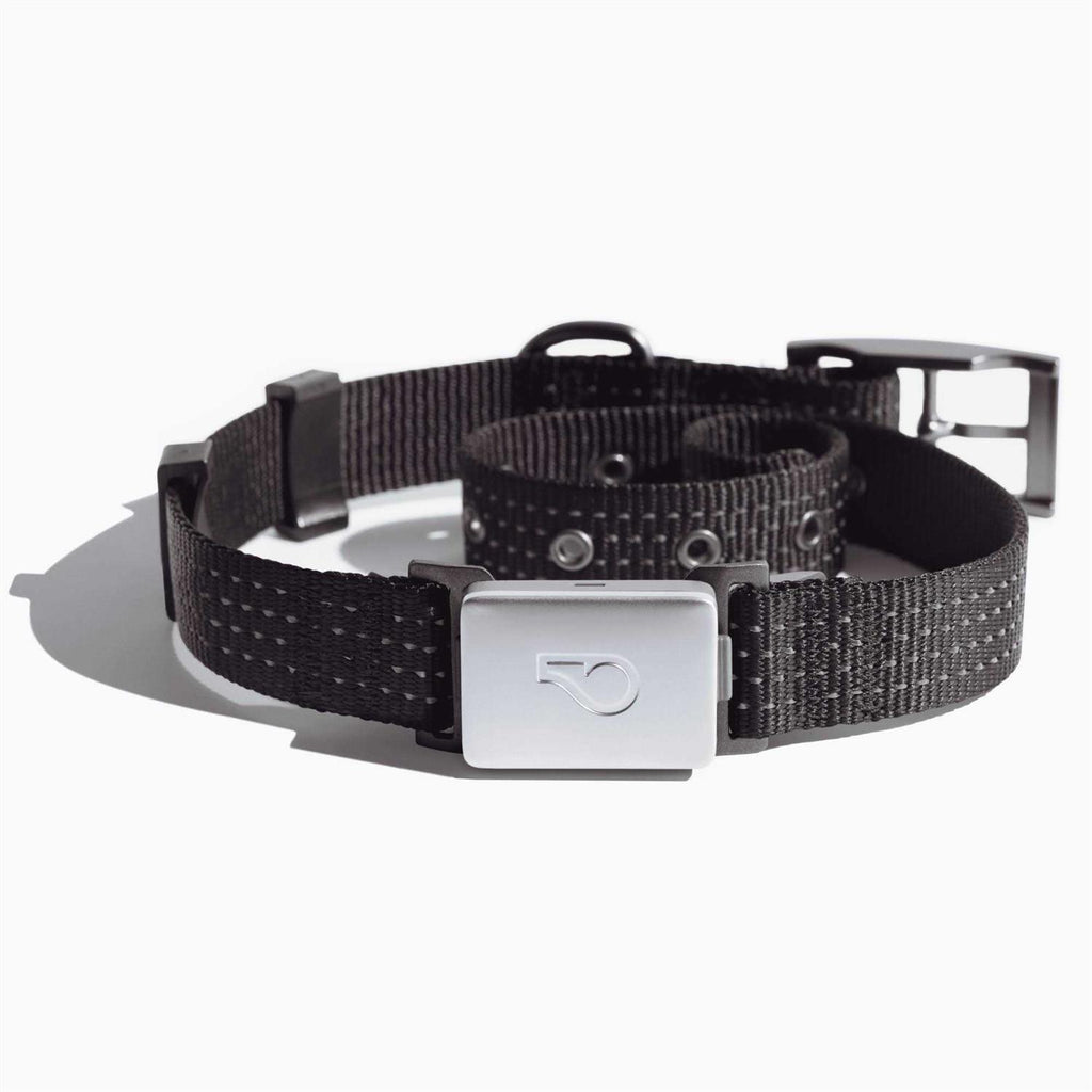Smart Collar Kit GPS location Health & Fitness Y351162