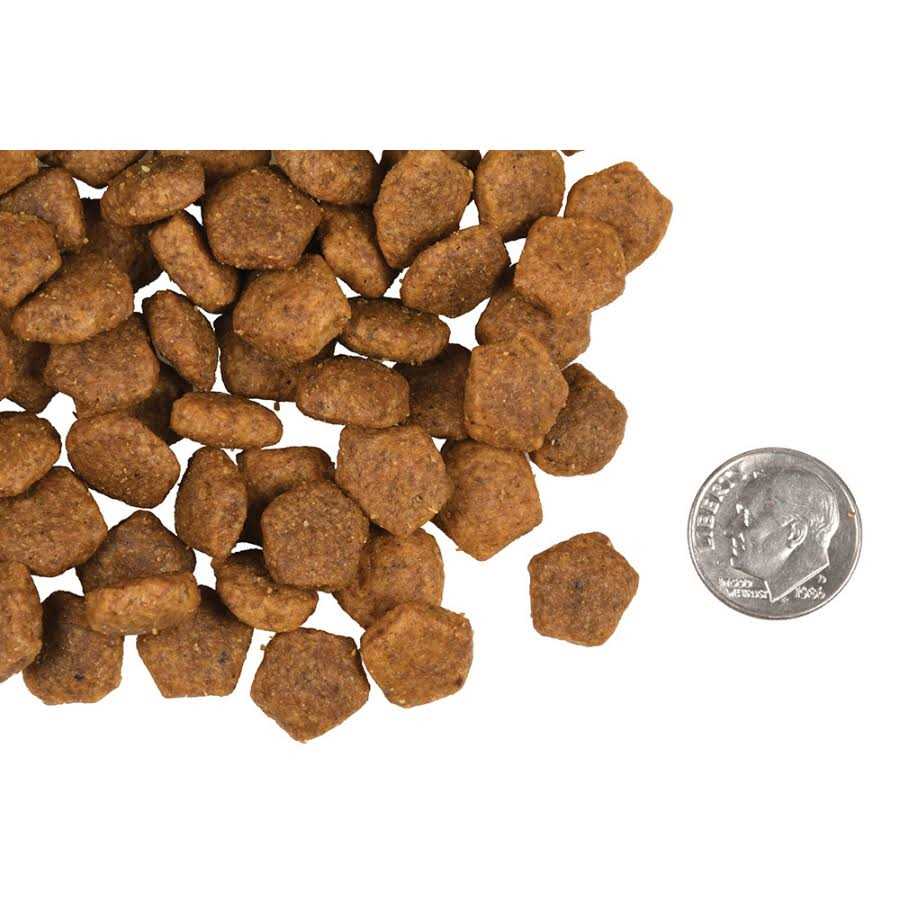 Adult Dog Food J731758