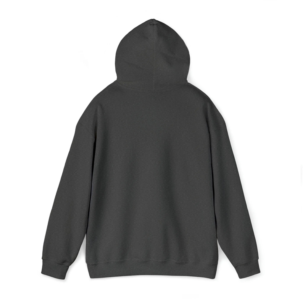 Snorkel Graphic Hoodie Sweatshirt D92445