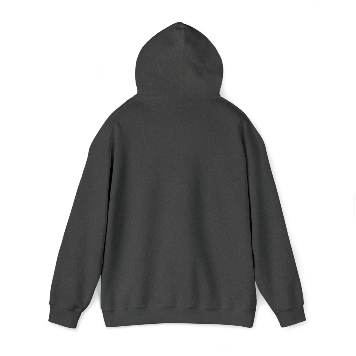 Snorkel Graphic Hoodie Sweatshirt D92445