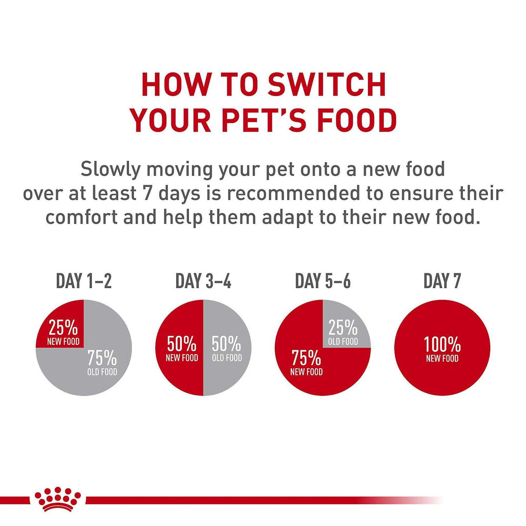 Dry Dog Food A6165