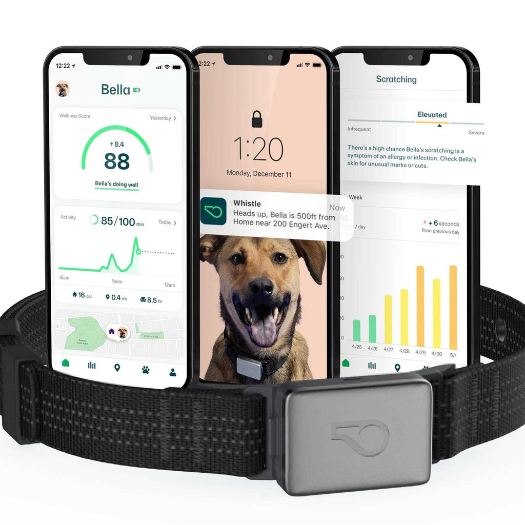 Smart Collar Kit GPS location Health & Fitness Y351162
