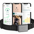 Smart Collar Kit GPS location Health & Fitness Y351162