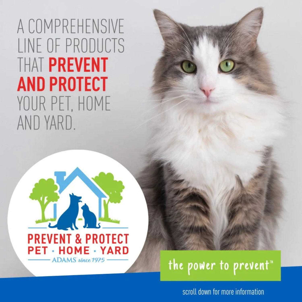 Flea Tick Collar for Cats Z1878