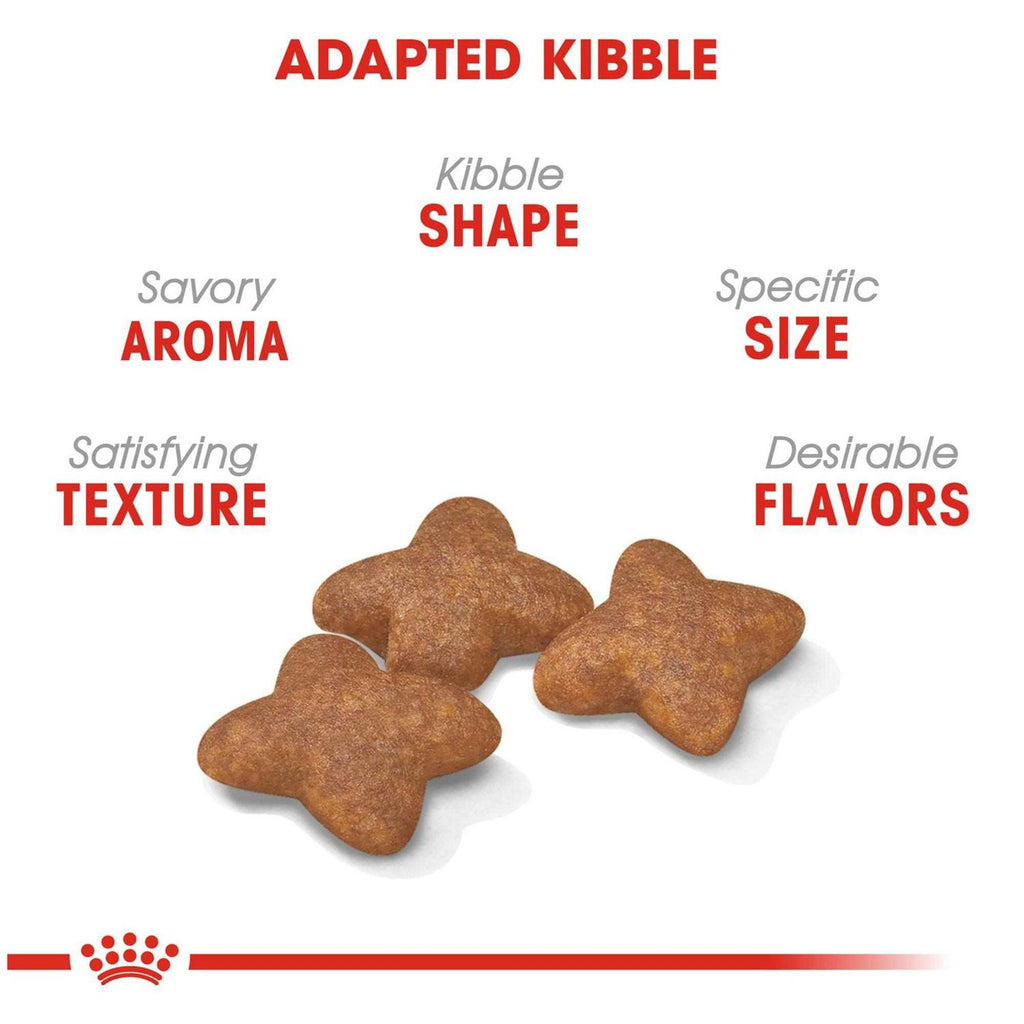 Dry Dog Food A6165